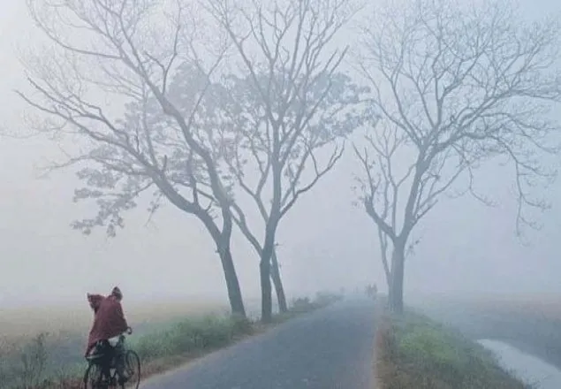  দেশের ১৫ জেলায় মৃদু থেকে মাঝারি শৈত্যপ্রবাহ