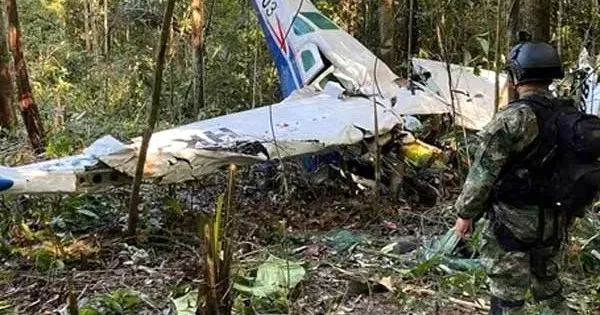 ফ্রান্সে বিমান বিধ্বস্ত হয়ে ২ সৈন্যসহ নিহত ৩