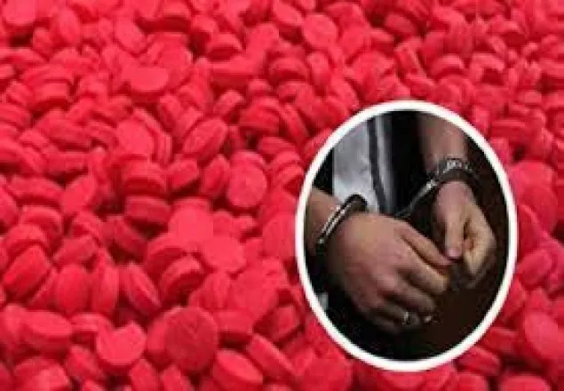 রামপুরায় ২০ হাজার পিস ইয়াবাসহ গ্রেফতার ২