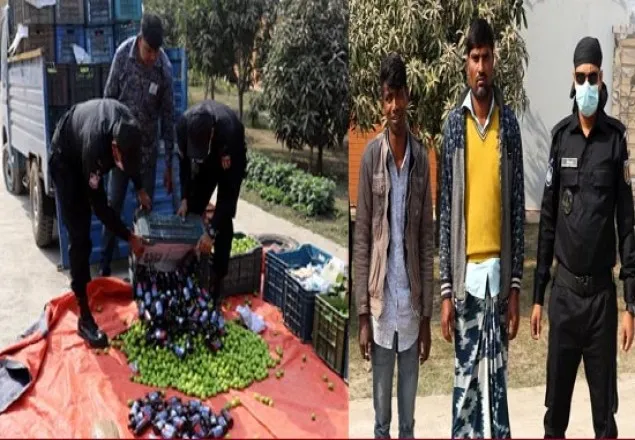 কাঁচামালের পিকআপে ফেনসিডিল-গাঁজা, ২ যুবক আটক