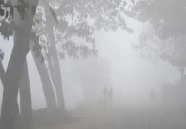 শৈত্যপ্রবাহ আরও দু-তিন দিন চলতে পারে
