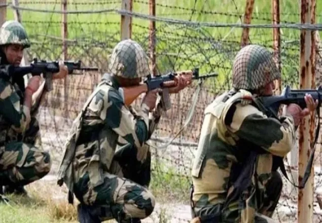 বিএসএফের ছোড়া রাবার বুলেটে বাংলাদেশি নিহত