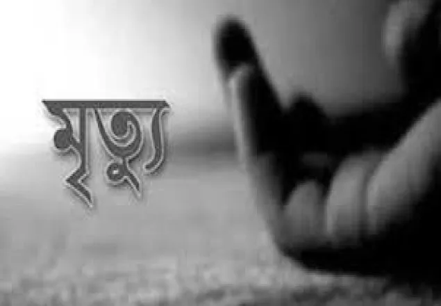 সৌদিতে বিদ্যুৎস্পৃষ্ট হয়ে মামা-ভাগিনাসহ ৩ জনের মৃত্যু