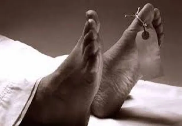 টাঙ্গাইলে মাথায় গাছ পড়ে যুবক নিহত