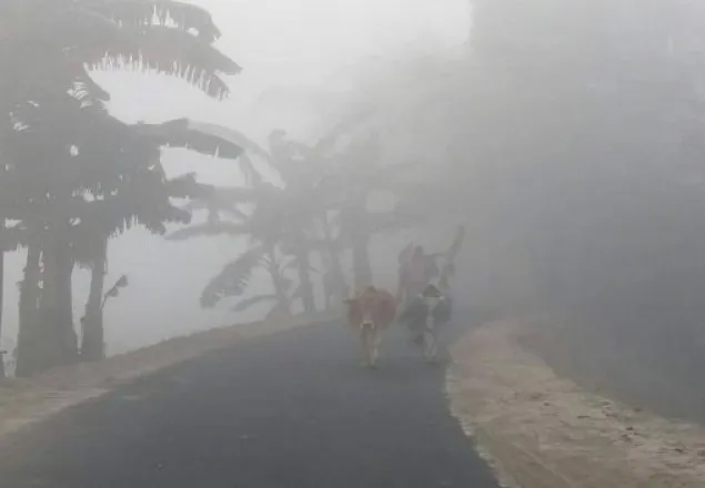কুড়িগ্রামে তীব্র শৈত্যপ্রবাহ, তাপমাত্রা ৫.৫ ডিগ্রি