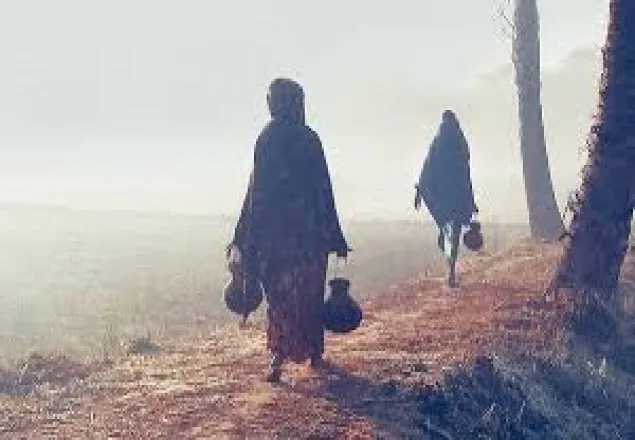 শীত কমে তাপমাত্রা বাড়ার পূর্বাভাস