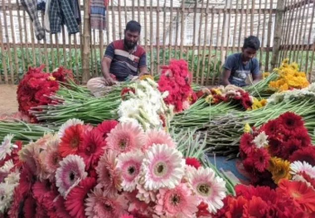 ফাল্গুনসহ ৩ দিবসে উৎসব ঘিরে চাঙা ফুলের বাজার