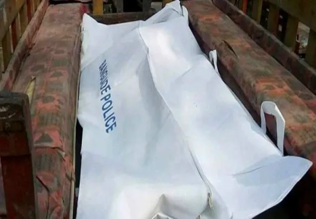 পাবনায় মাইক্রোর ধাক্কায় দুই যাত্রী নিহত
