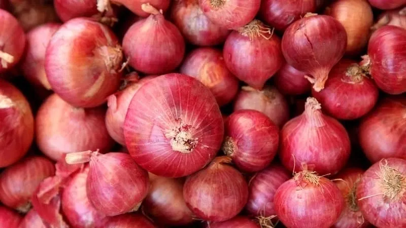 الهند تمدد حظر تصدير البصل إلى الخارج بشكل غير محدد