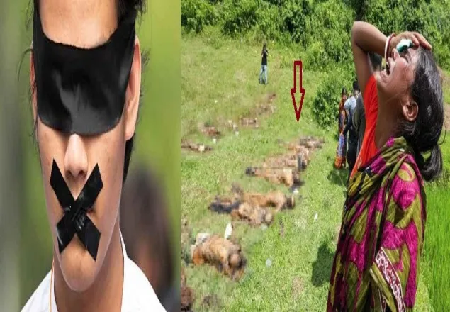 মিয়ানমারে রোহিঙ্গা গণহত্যা: কোথায় ছিল প্রতিবাদ?