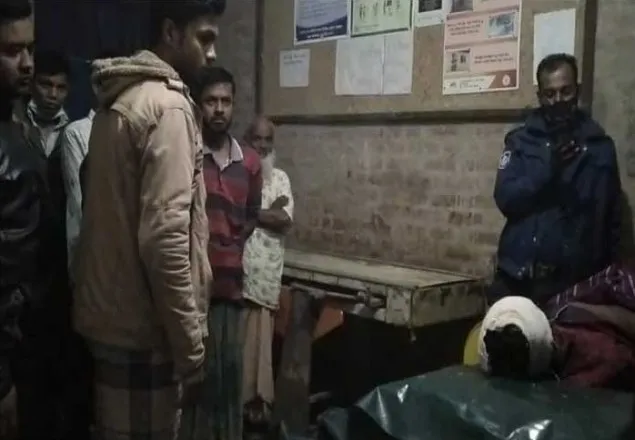 বনভোজন অনুষ্ঠানে গাছ ভেঙে পড়ে দুই যুবক নিহত