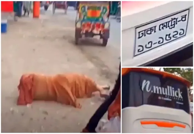  প্রতিবন্ধী নারীকে ধাক্কা, বাসচালক-হেলপার গ্রেফতার