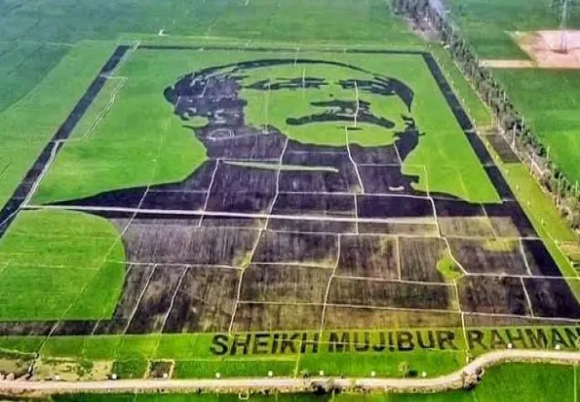 গিনেস বুকে রেকর্ড গড়ল ‘শস্যচিত্রে বঙ্গবন্ধু’
