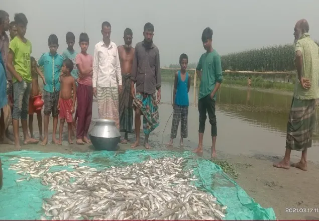 মাছের সঙ্গে শত্রুতা!