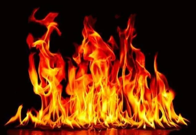 মিরপুরে ফার্নিচারের গোডাউনে আগুন