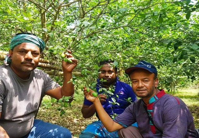 মাগুরায় মিশ্র ফল বাগান করে সফল আছু বিশ্বাস