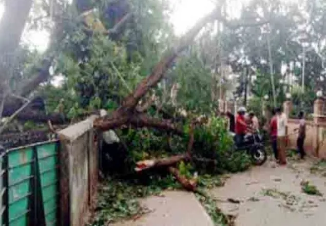 গাইবান্ধায় কালবৈশাখী ঝড়ে ৮ জন নিহত
