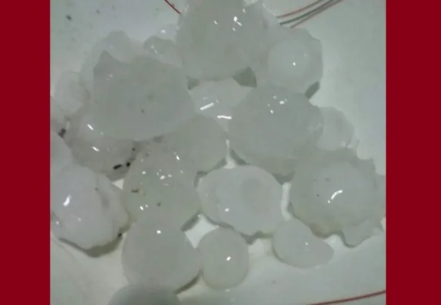 লালমনিরহাটে শিলাবৃষ্টি ফসলের ক্ষতির শ্বঙ্কা