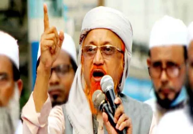 হেফাজতের ঢাকা মহানগর সভাপতি জুনায়েদ আল হাবিব গ্রেফতার