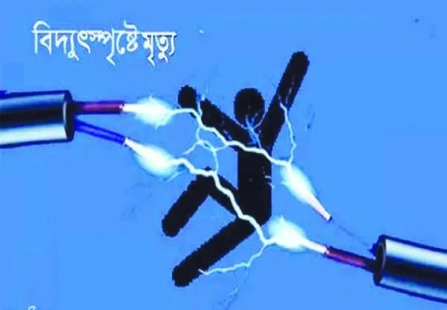 ময়মনসিংহে বিদ্যুৎস্পর্শে দুই জনের মৃত্যু  