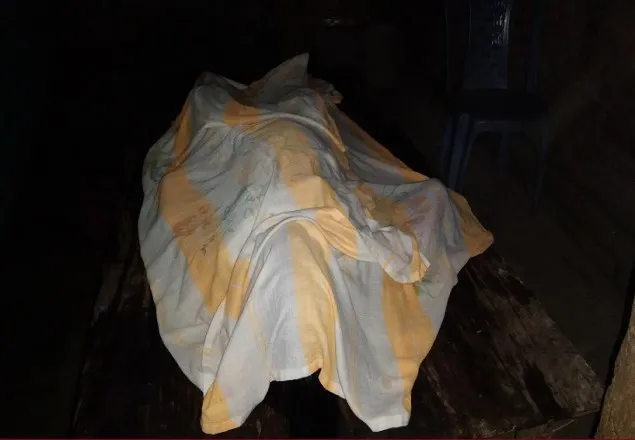 গ্যাসের চুলায় রান্না করতে গিয়ে গৃহবধূর মৃত্যু