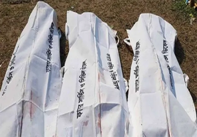 নারায়ণগঞ্জে কাভার্ডভ্যানের ধাক্কায় পিকআপ উল্টে নিহত ৩