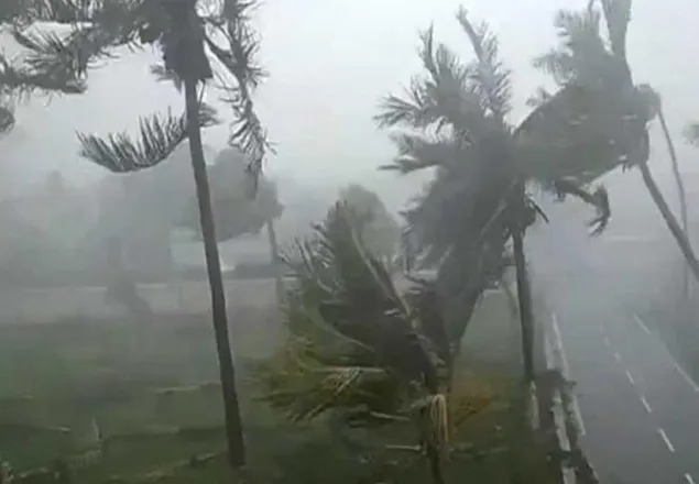 ঝড়ে গাছচাপায় ঘুমিয়ে থাকা দম্পতির মৃত্যু