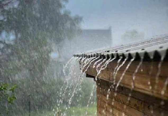 ঝোড়ো হাওয়াসহ বিভিন্ন অঞ্চলে বৃষ্টির পূর্বাভাস