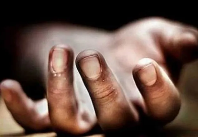 রাইস মিলের ফেলে রাখা জ্বলন্ত ছাইয়ে পড়ে শিশুর মৃত্যু 
