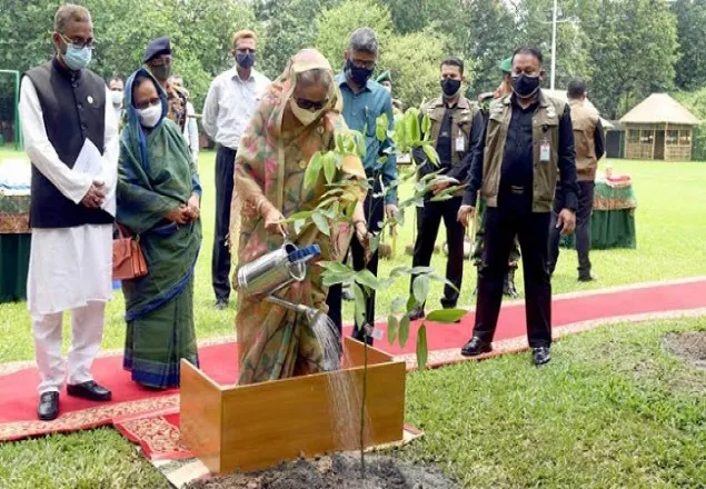 বেশি করে গাছ লাগান, যত্ন নিন: প্রধানমন্ত্রী