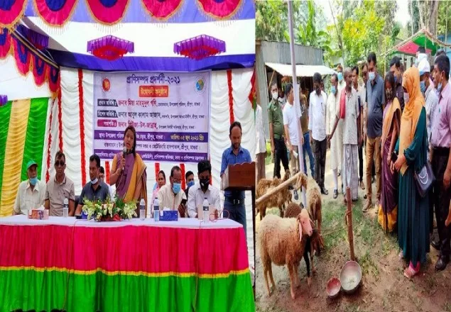 মাগুরার শ্রীপুরে প্রাণী সম্পদ প্রদর্শনী অনুষ্ঠিত