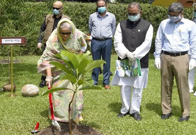 ‘শুধু গাছ লাগালেই হবে না, গাছের যত্নও করতে হবে’
