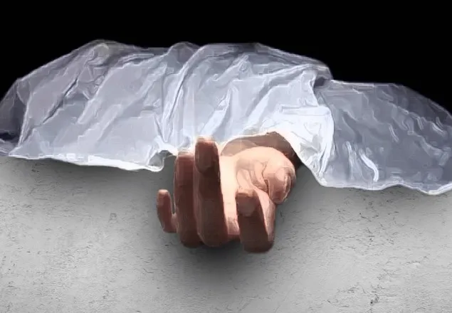 সাভারে দুই খালাত ভাইকে ছুরিকাঘাতে হত্যা