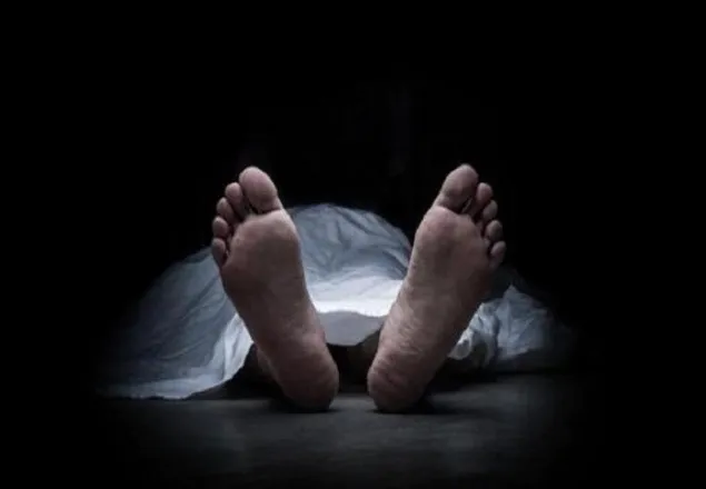 ওয়ারীতে লেগুনা উল্টে গৃহবধু নিহত
