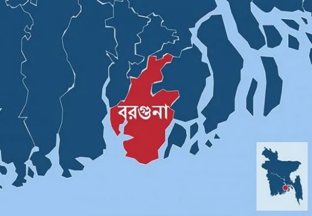 বাড়িতে ঢুকে চেয়ারম্যান প্রার্থীর স্ত্রীকে কুপিয়ে জখম
