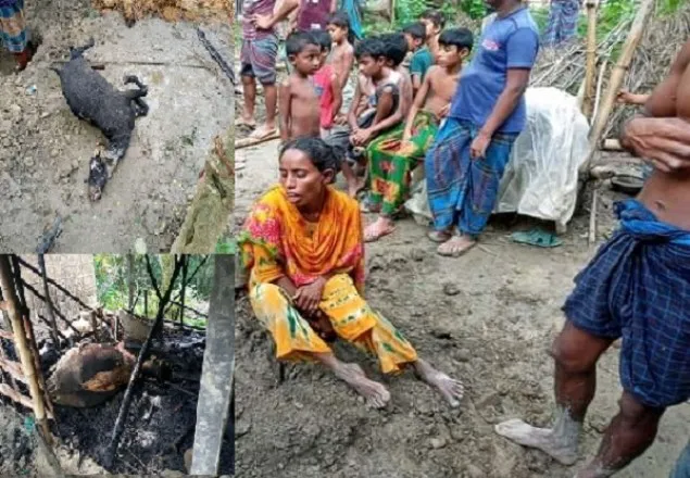মাগুরায় ভয়াবহ অগ্নিকান্ড: অসহায় নারীর স্বপ্ন পুড়ে ছাই!