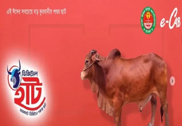 এবারও ‘ডিজিটাল কোরবানির হাট’ বসানো হবে: ডিএনসিসি