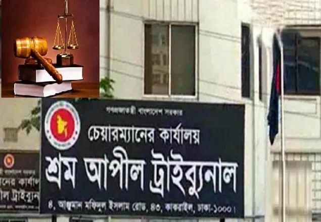 শ্রম আপিল ট্রাইব্যুনালের নতুন চেয়ারম্যান হলেন মো. ফারুক