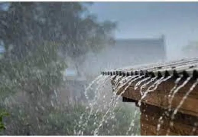 সারা দেশে আগামী ২ দিন বৃষ্টির পূর্বাভাস
