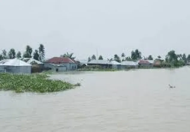 যমুনায় বেড়েছে পানি, সিরাজগঞ্জের বিভিন্ন এলাকা প্লাবিত