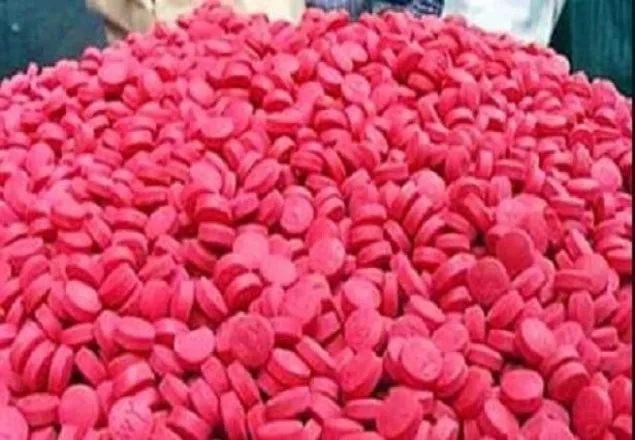রাজধানীতে ১০ হাজার পিস ইয়াবাসহ ২ নারী গ্রেফতার