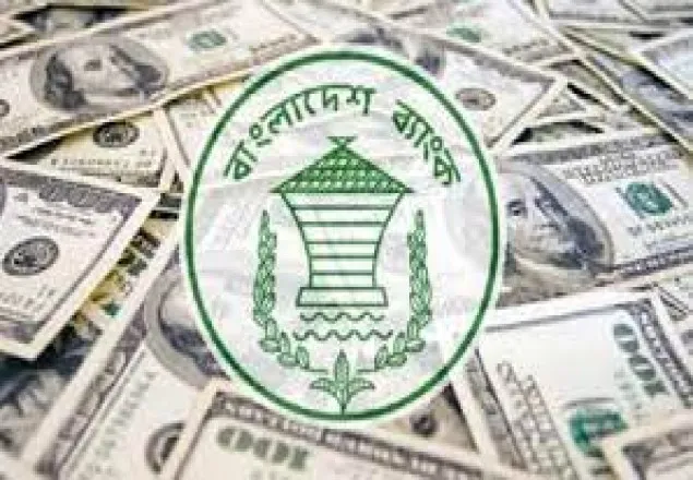 প্রবাসী আয়ে রেকর্ড ২৫ বিলিয়ন ডলার
