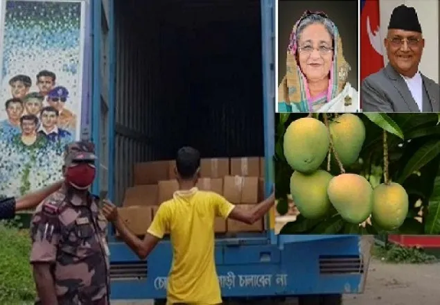 নেপালে আম উপহার পাঠালেন প্রধানমন্ত্রী 