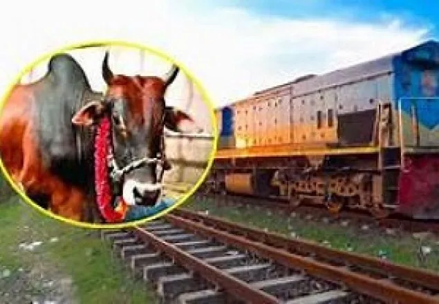 আসন্ন ঈদুল আজহা : ১৭-১৯ জুলাই বিশেষ ট্রেন