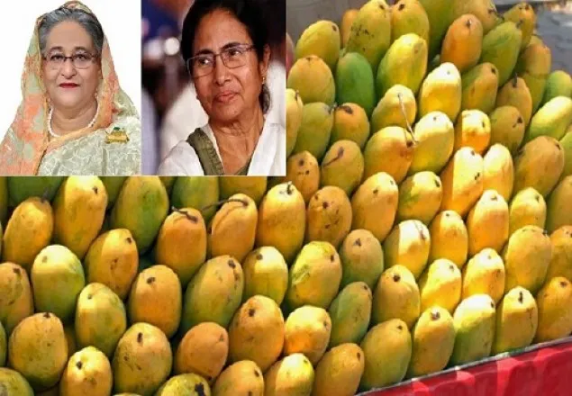 ‘আপনি আম পাঠিয়েছেন, আমি দু’হাত ভরে বিলিয়েছি ’ : মমতা