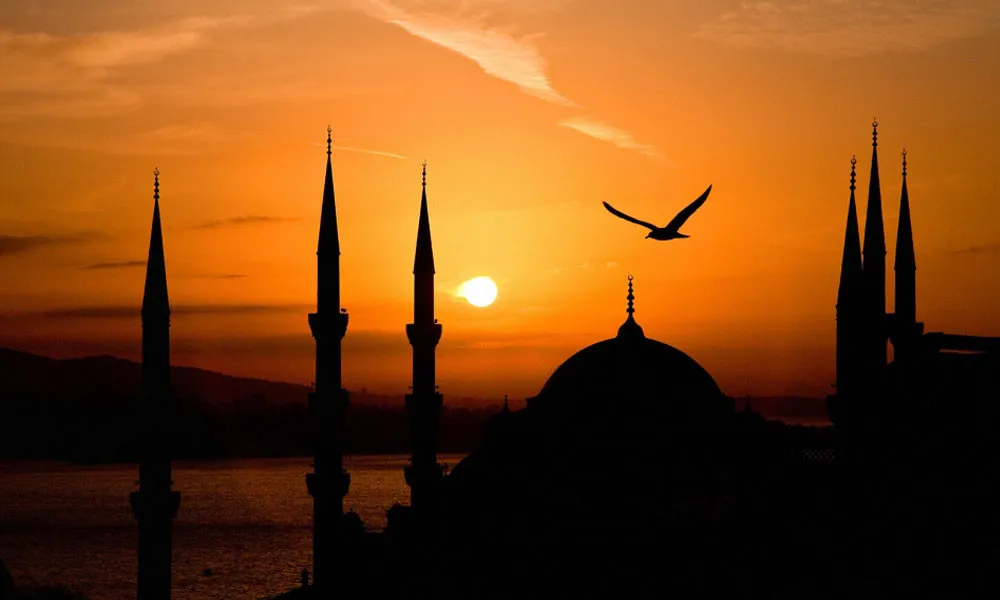 আল্লাহর সব সৃষ্টি মানুষের কল্যাণে