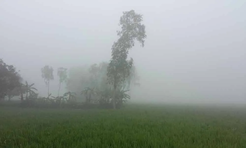 রাজশাহীতে মৌসুমের সর্বনিম্ন তাপমাত্রা ৮.৪ ডিগ্রি