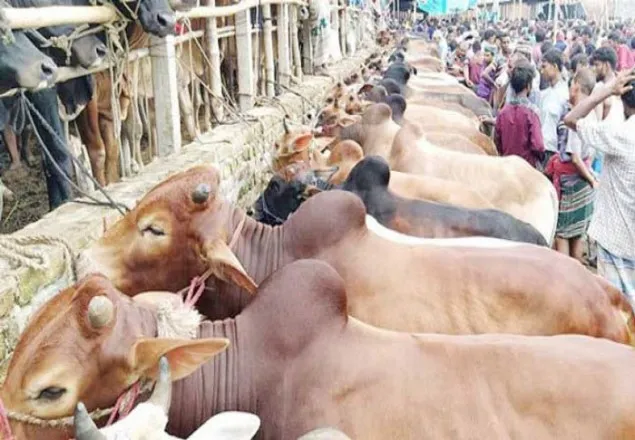 রাজধানীর পশুর হাটে বেচাকেনা শুরু