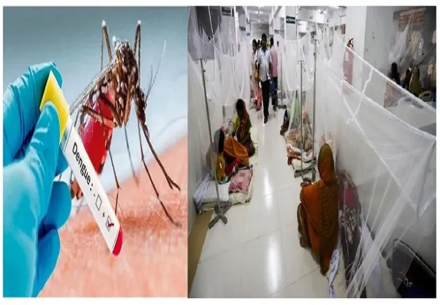 বাড়ছে ডেঙ্গু : আক্রান্ত ৬৮৬