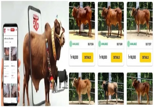অনলাইনে ২ লাখ ৬৩ হাজার পশু বিক্রি হয়েছে